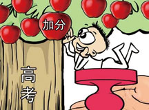 黑龙江省调整高考加分政策 取消10类加分项目​