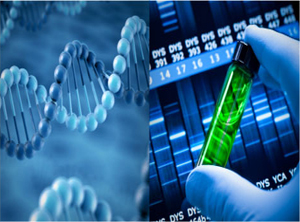 《2016年高考生物一轮复习基础知识大全》第二节