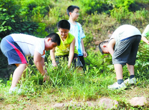 培养孩子的适应能力 关键是改变家长的教育方式