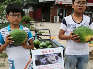 河南少年卖瓜救父 穷人的孩子为何早当家？