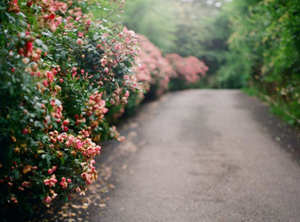 孩子心理自卑无法面对挫折，有没有试这些方法？