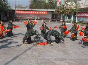 青少年心理及行为矫正，全封闭式学校选择