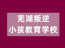 芜湖叛逆小孩教育学校（正规收费文化同步学校）