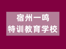 宿州一鸣特训教育学校（文化同步青少年学校）