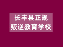 长丰县正规叛逆教育学校（于2013年成立）