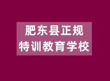 肥东县正规特训教育学校（初高中学籍注册）