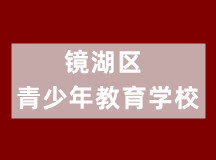 镜湖区青少年教育学校（正规、大规模办学）