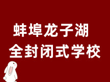 蚌埠龙子湖区全封闭式学校（初、高中文化同步课程）