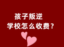 孩子叛逆学校怎么收费的?(原来这个省的学费较贵)