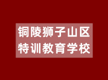 铜陵狮子山区特训教育学校(初、高中学籍注册)