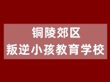 铜陵郊区叛逆小孩教育学校(适合10-18岁学生)