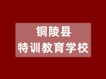 铜陵县特训教育学校（初、高中学籍注册）