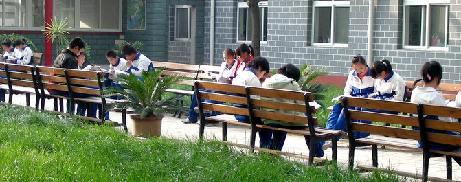 <b>学习环境与孩子的性格有关系吗？</b>