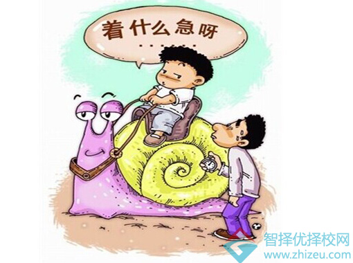 学习效率不高