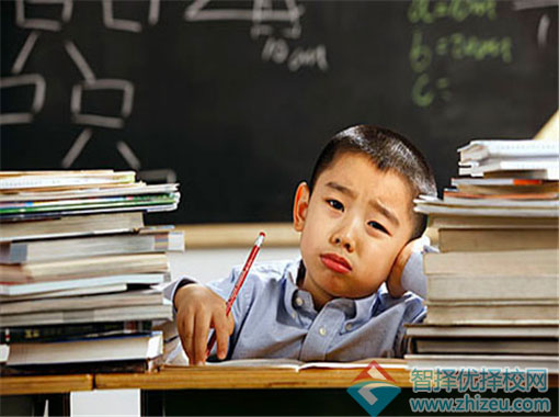 学习成绩
