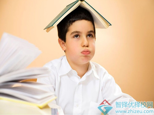 学习习惯