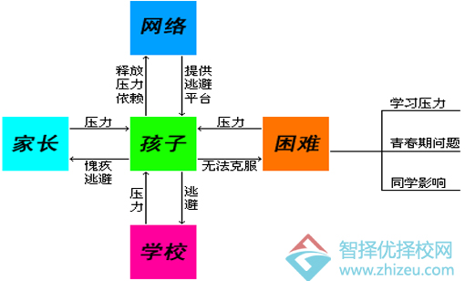 沉迷网络