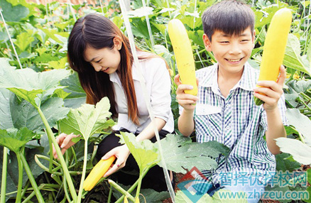 体验式教育的四大原则与四个阶段 这是一篇“干货”！