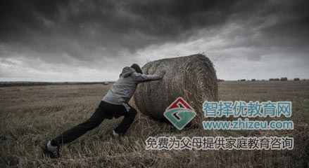 网络游戏