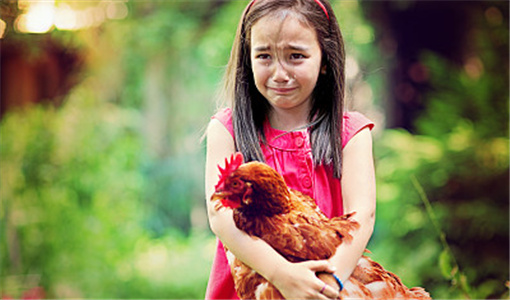 孩子不听话如何教育.jpg