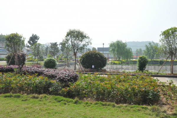 1536310999525934.jpg 湖南叛逆孩子特训学校校园一角.JPG