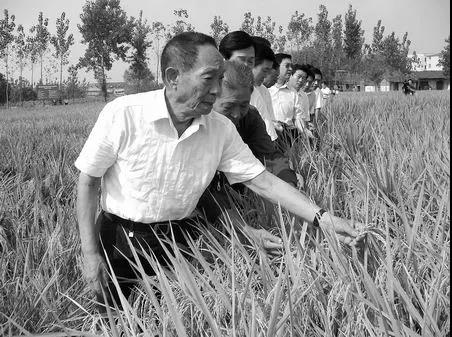 郑州叛逆教育学校——缅怀袁隆平院士主题教育活动.jpg