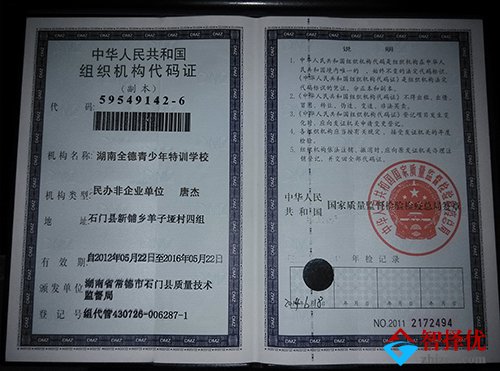 学校组织